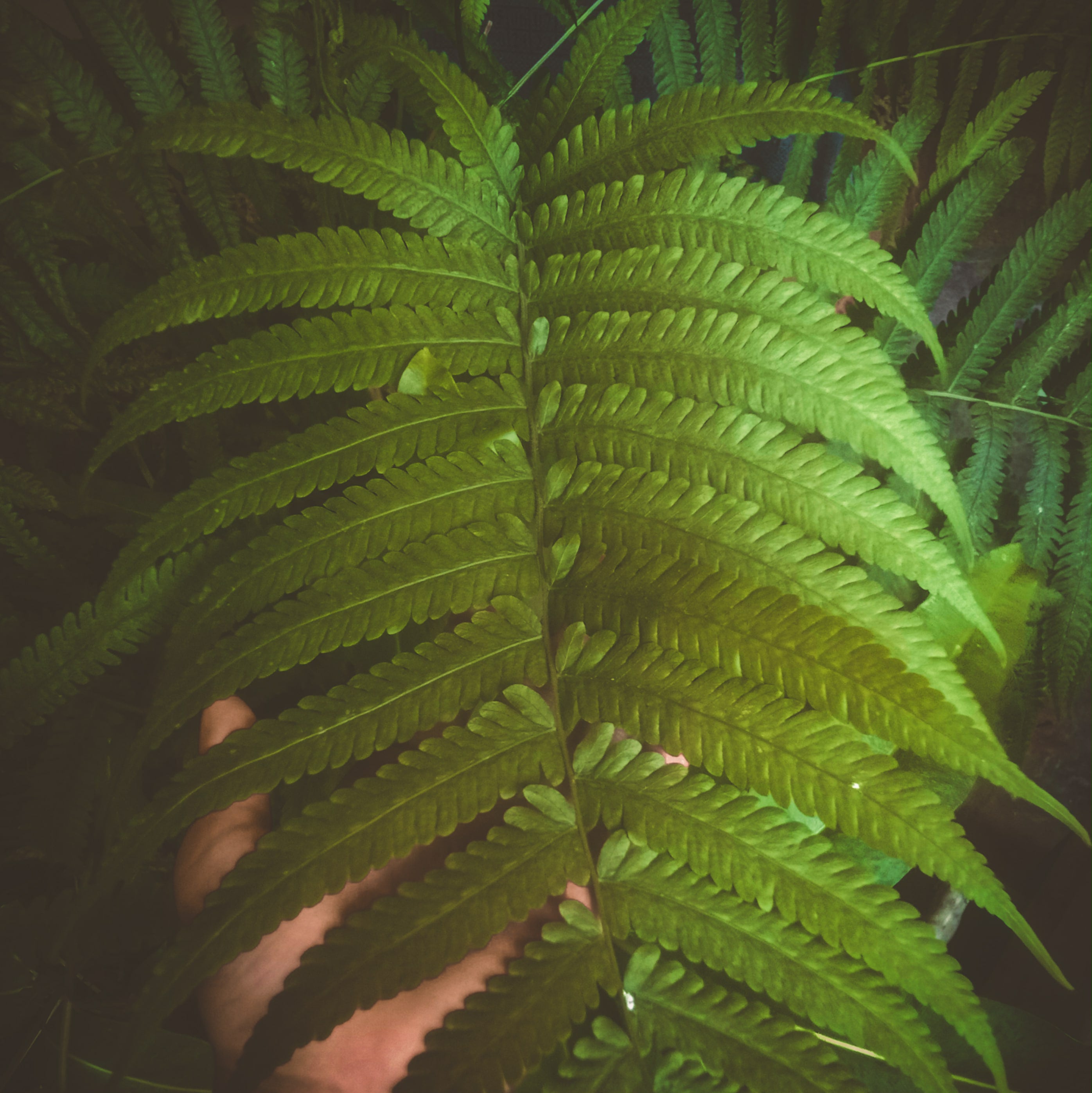 Nature photo 2